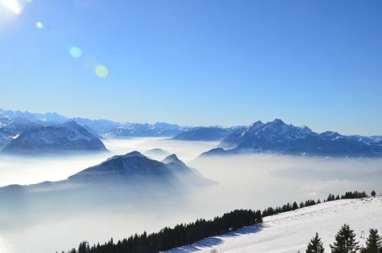 Im Winter meist über der Nebeldecke